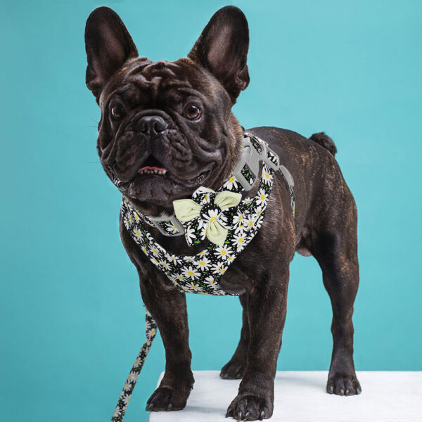 Veststyle Collarchest Strap Dog Walking Rope And Chain - Image 3