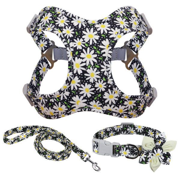 Veststyle Collarchest Strap Dog Walking Rope And Chain - Image 5