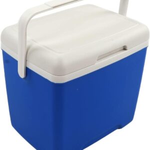 13.8L Insulated Portable Cooler, Ice Retention Hard Cooler, Keeps Ice Up To 76 Hours, Ice Chest Lunch Box With Heavy Duty Handle For Picnic Camping Fishing